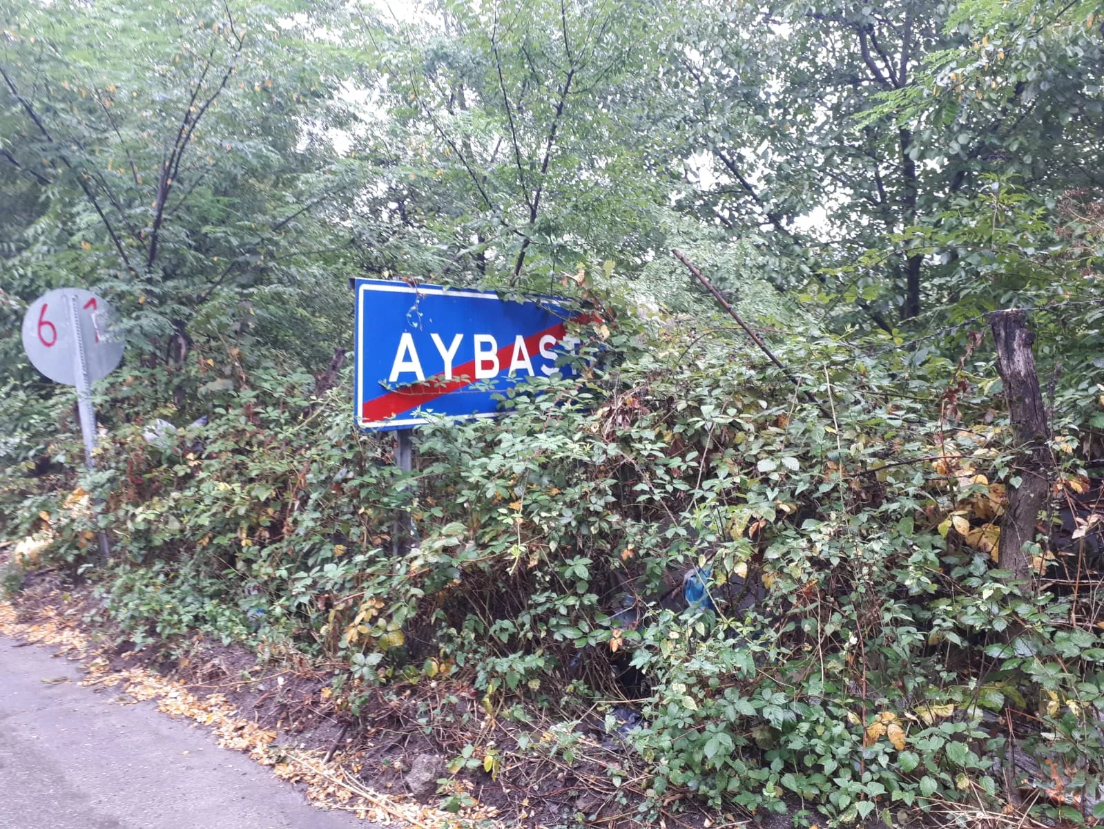 Aybastıya Gideriken
