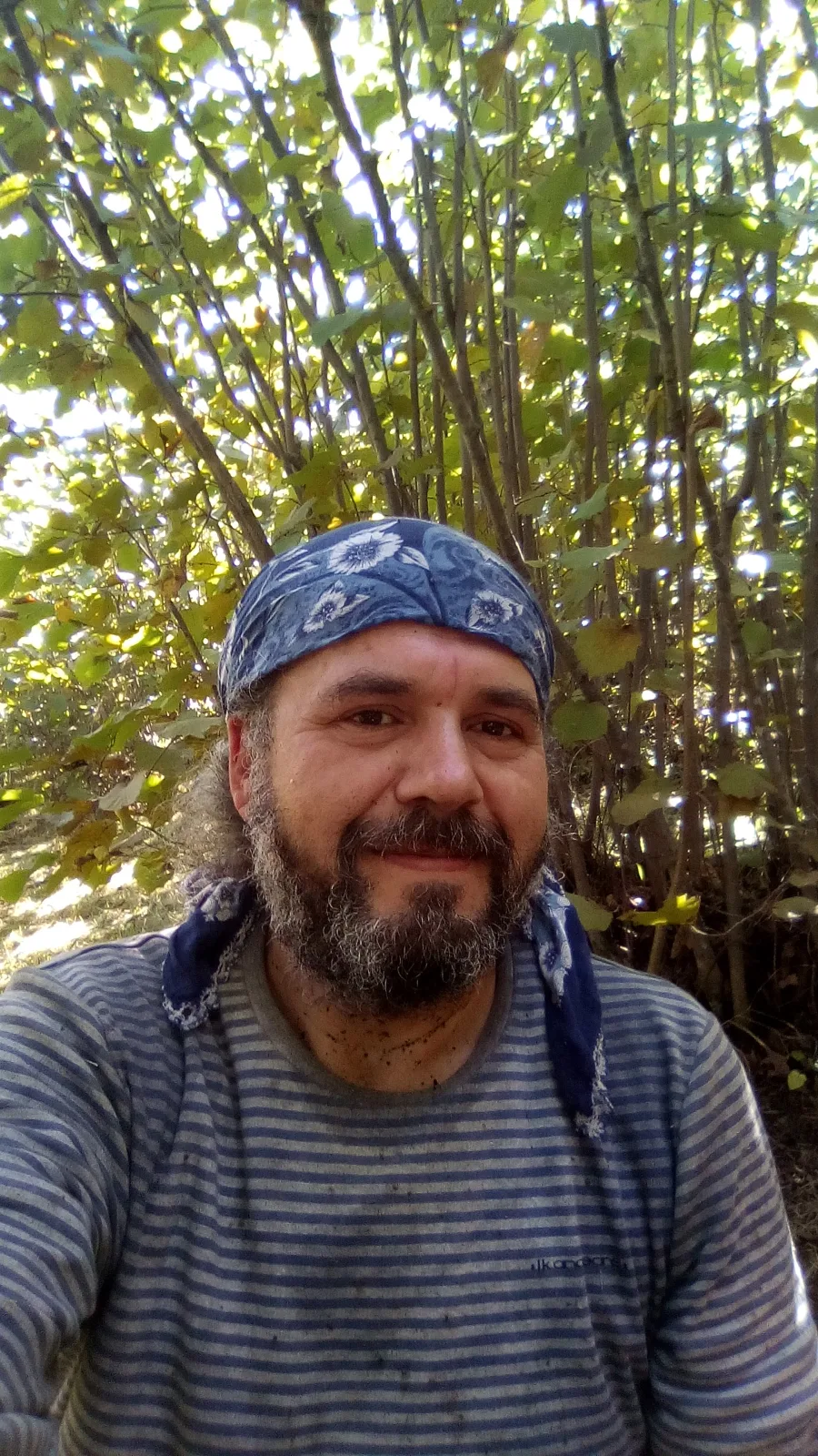 Kuşyuvasında Bir Fındık Zamanı